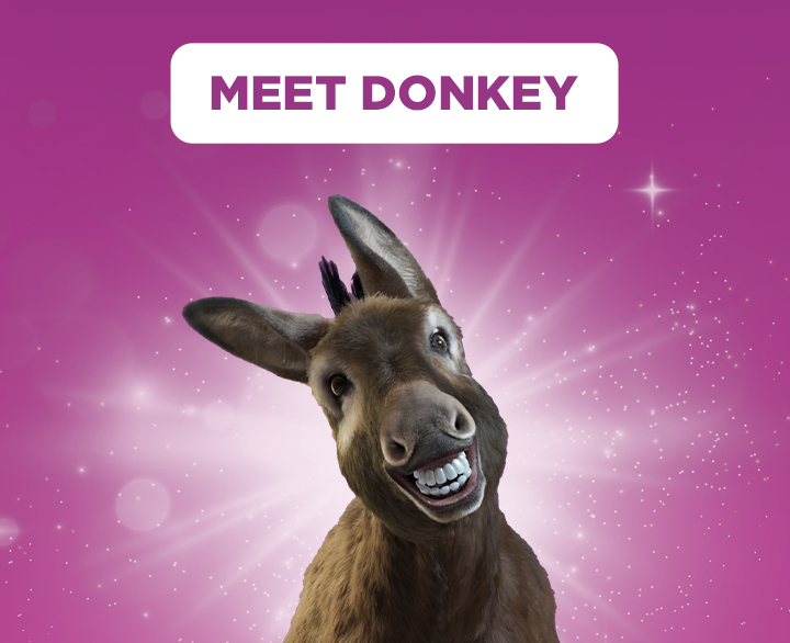 Exclusive interview. Meet Donkey